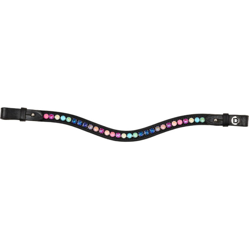 2026 Dublin Ombre Rainbow Browband 1031544 - Black